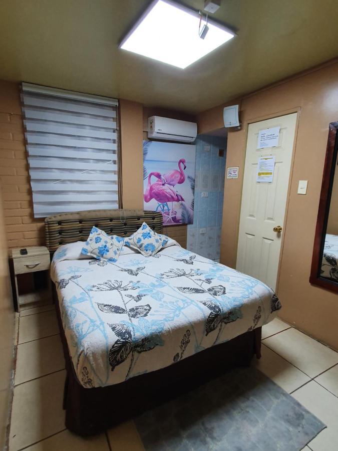 Hostal Mi Maravilla La Serena Eksteriør bilde